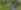 Aluan banner