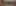 Social Gastronomy Foundation - header