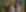 Unplastify - header