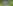 Asoprocegua banner
