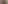 Bioforestal banner