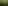 GreenPot