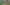 Ecoguerreros banner