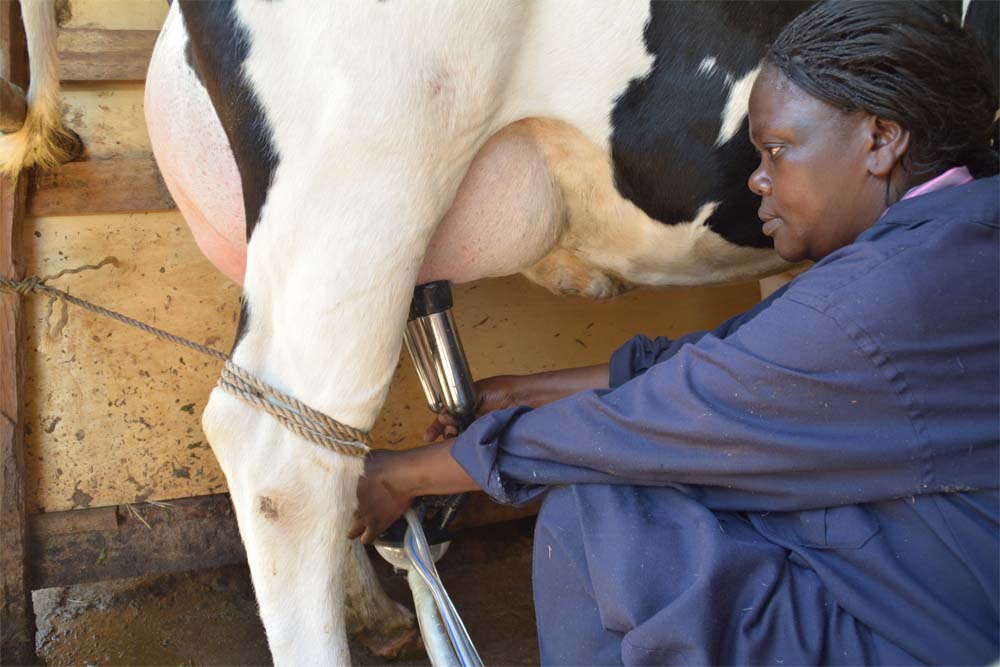 Nuru Social Enterprises