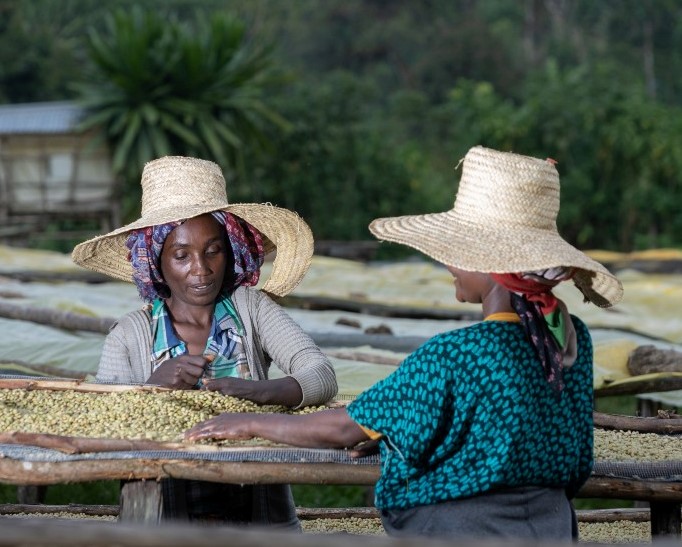 Gora Coffee farmers