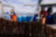 Two men on a boat pulling in their kelp seaweed catch