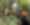 Conservana team with forest farmer community in west Bali