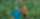 Java Fresh banner image
