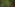 Pepper Secret banner image