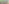 Greenie - content