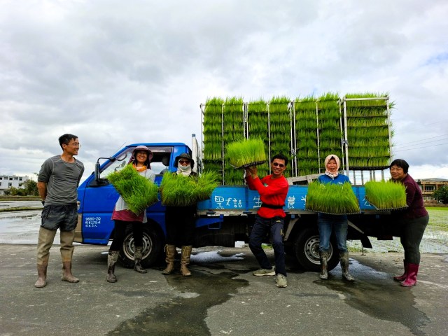 A group of six people standing in front of a blue truck holding up trays of rice plants