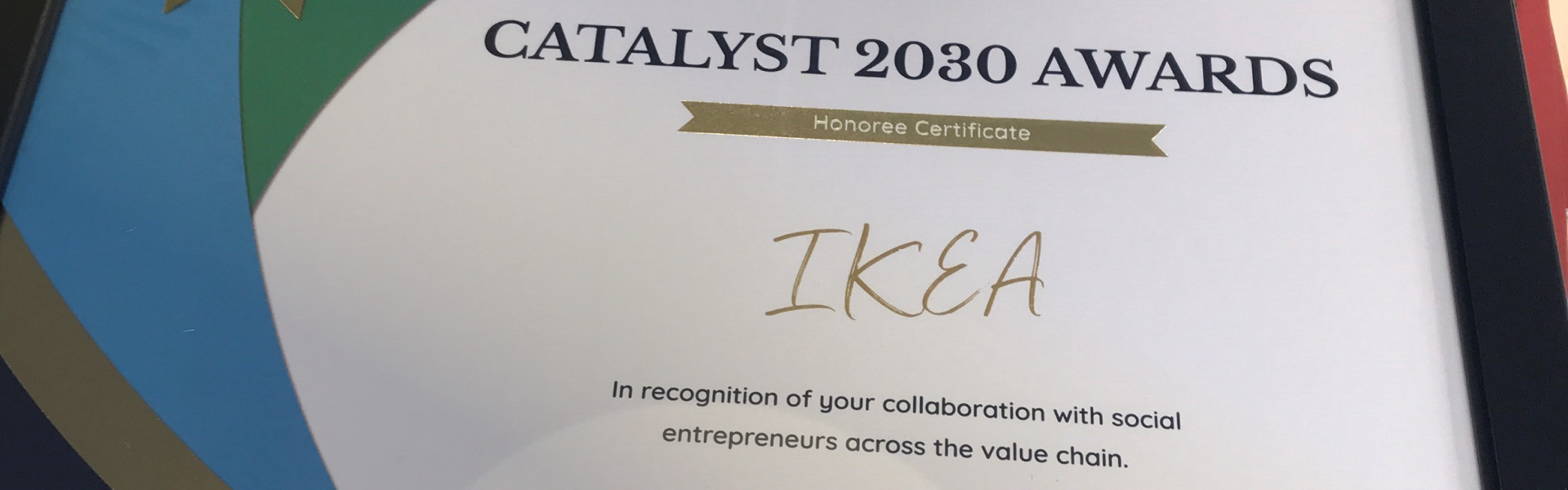 Catalyst Award 2030