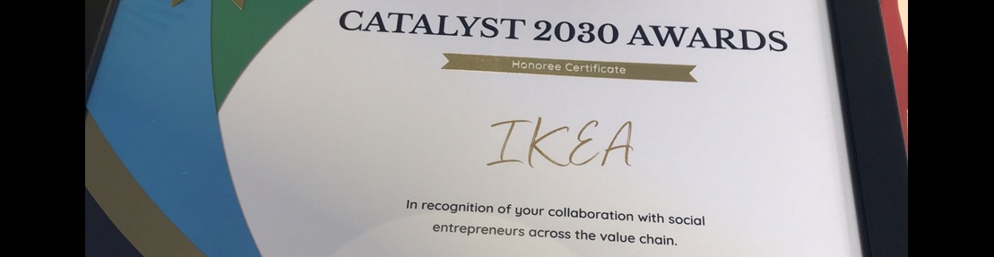 Catalyst Award 2030