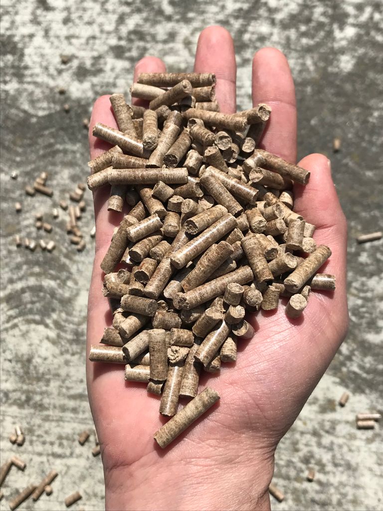 Pellet Mexico Bioenergia