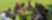 Racismo banner image