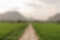 A photo of a gravel road leading to a village between two rice fields with mountains in the background