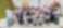 A photo of a big group people standing and sitting together outdoors