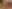 A photo of four dolls with diverse ethnicities
