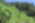 A corn plantation in Mexico